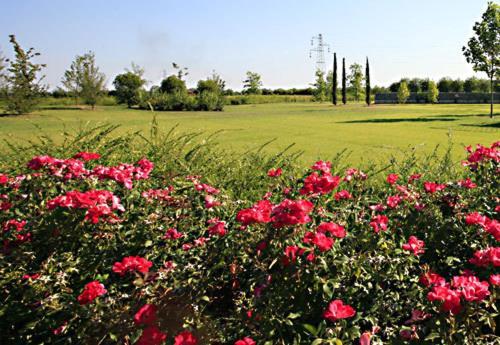Country House Letizia Verona Eksteriør bilde